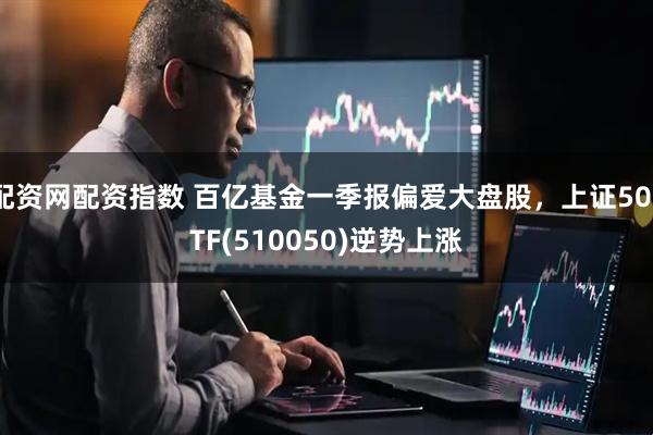 配资网配资指数 百亿基金一季报偏爱大盘股，上证50ETF(510050)逆势上涨
