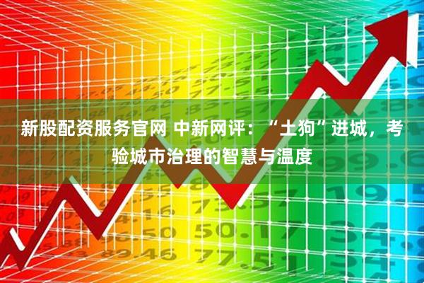 新股配资服务官网 中新网评：“土狗”进城，考验城市治理的智慧与温度