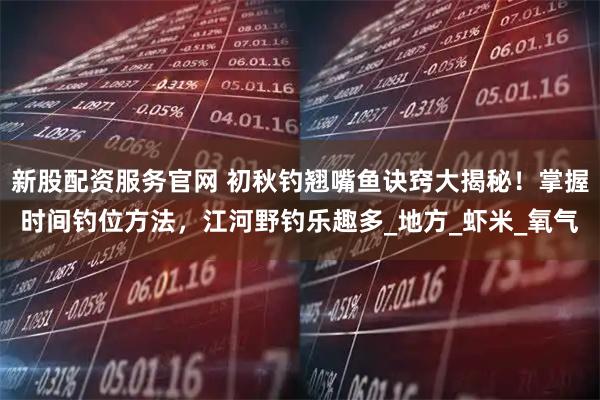 新股配资服务官网 初秋钓翘嘴鱼诀窍大揭秘！掌握时间钓位方法，江河野钓乐趣多_地方_虾米_氧气