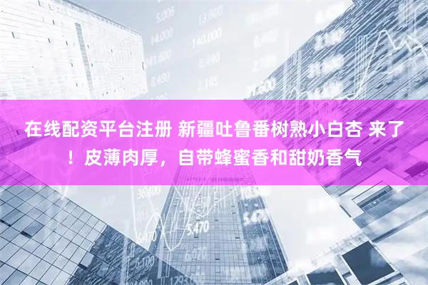 在线配资平台注册 新疆吐鲁番树熟小白杏 来了！皮薄肉厚，自带蜂蜜香和甜奶香气